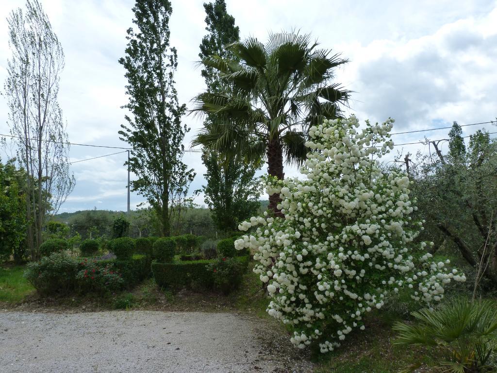 Agriturismo La Sterpina *