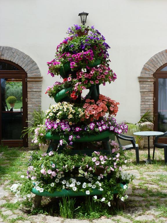Agriturismo La Sterpina