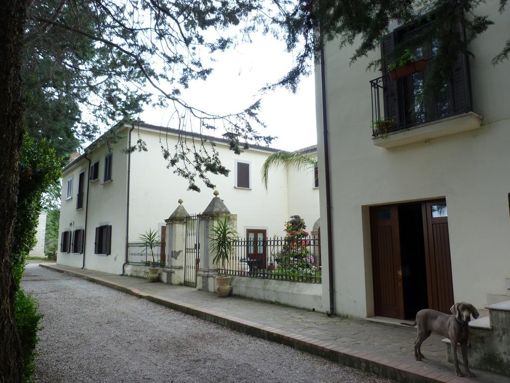 Agriturismo La Sterpina Country house *